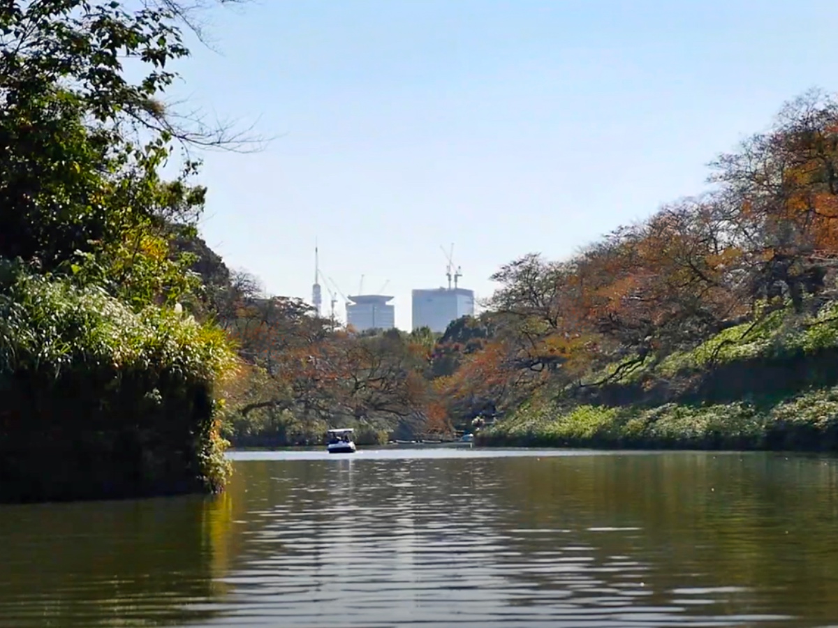 千鸟渊公园 参考图 1