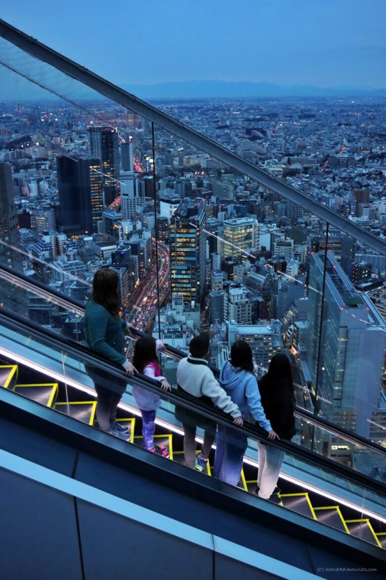 Shibuya Sky 参考图 1